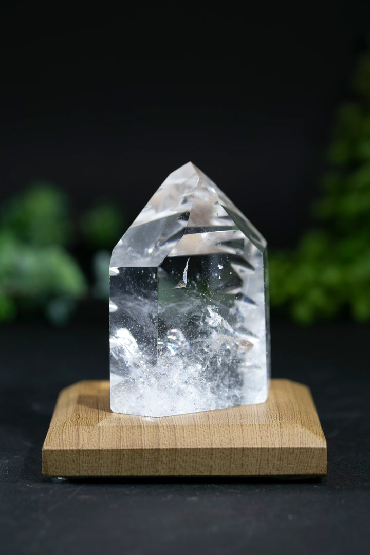 2.5" Fantasy Cut Lemurian BC771