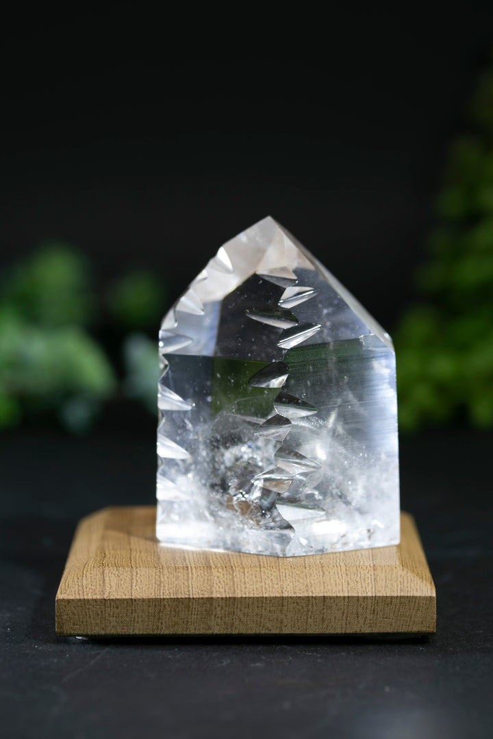2.5" Fantasy Cut Lemurian BC771