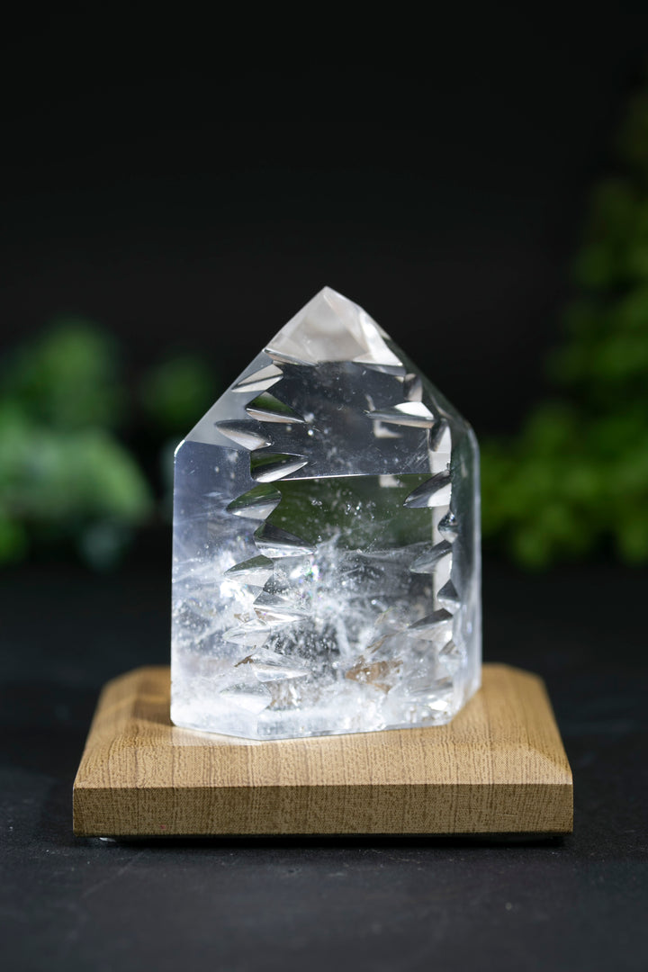 2.5" Fantasy Cut Lemurian BC771