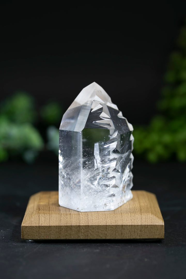 2.5" Fantasy Cut Lemurian BC771