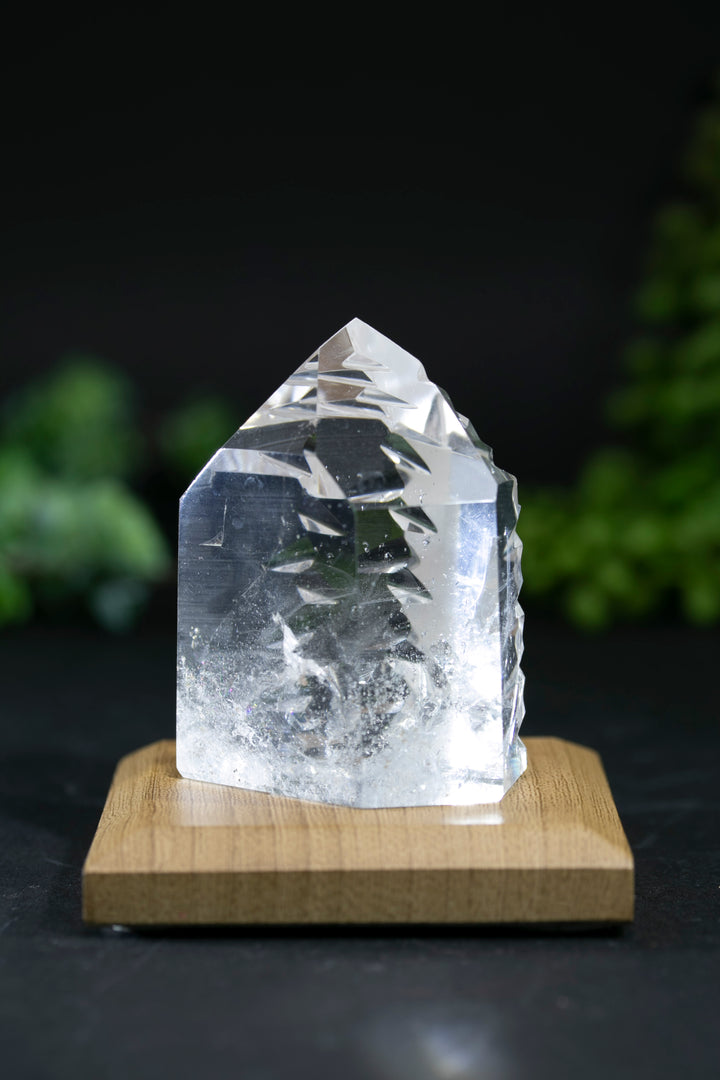 2.5" Fantasy Cut Lemurian BC771