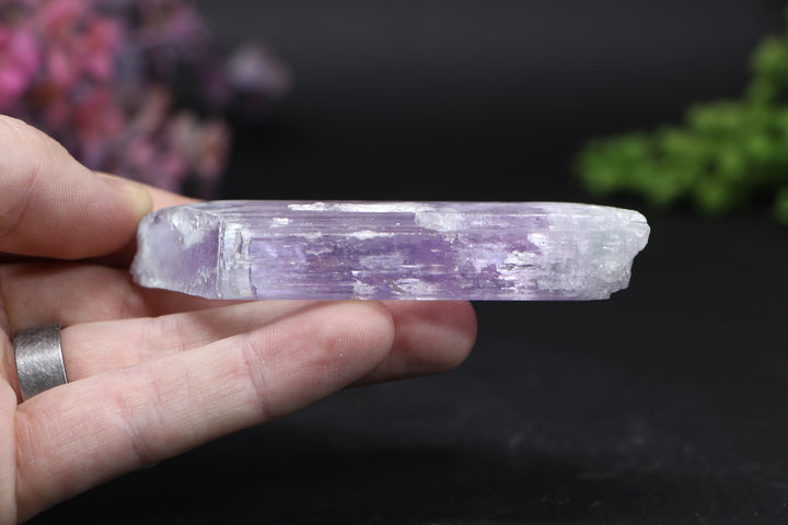Kunzite Specimen DD1582