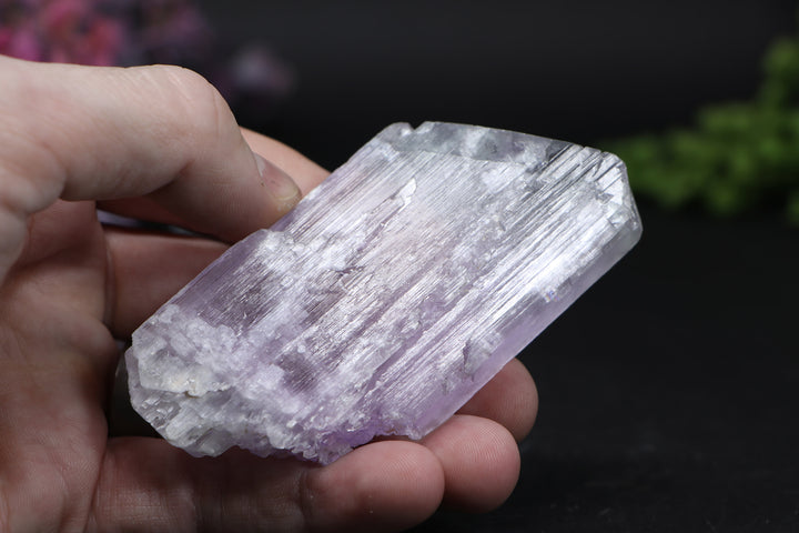Kunzite Specimen DD1582