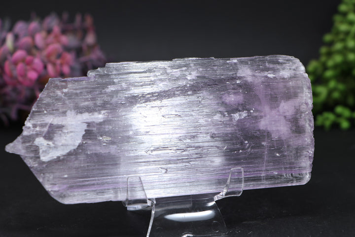 Kunzite Specimen DD1580