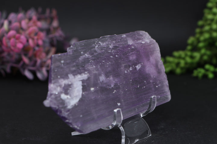 Kunzite Specimen DD1580