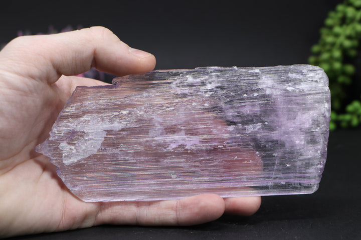 Kunzite Specimen DD1580