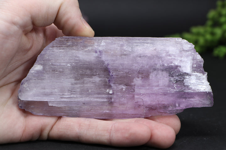 Kunzite Specimen DD1583