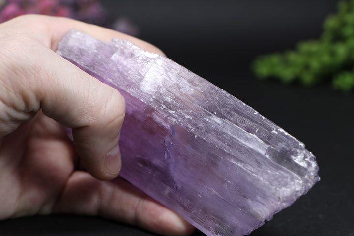 Kunzite Specimen DD1583