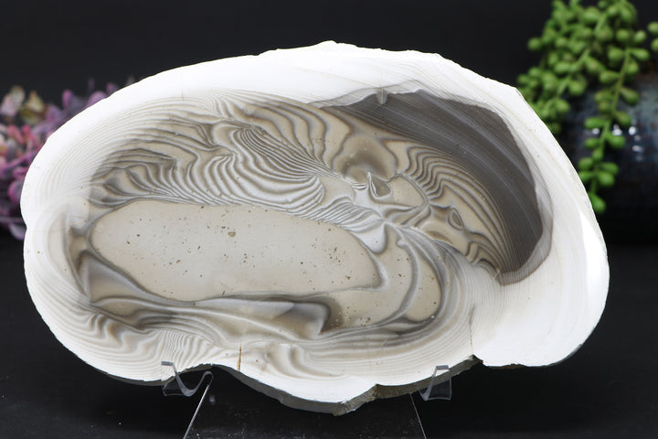 8" Polish Flint Slab DD1634