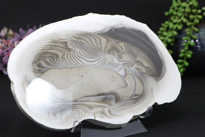 8" Polish Flint Slab DD1634