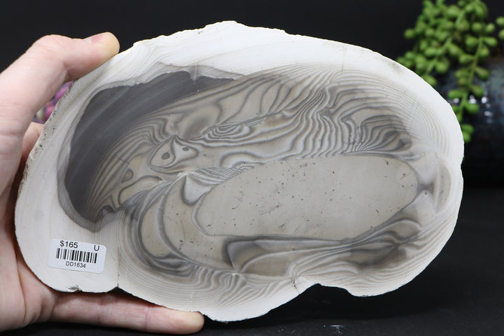 8" Polish Flint Slab DD1634