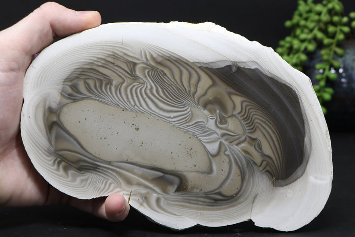 8" Polish Flint Slab DD1634