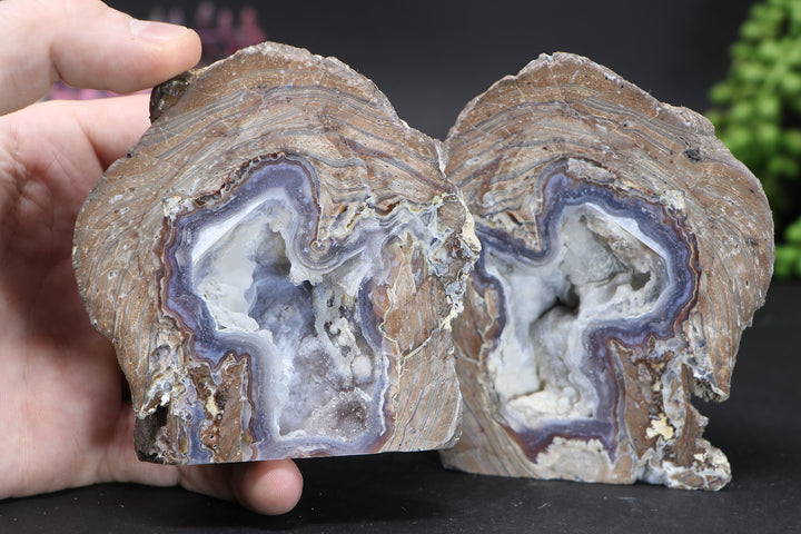 Dugway Geode Pair DD1636