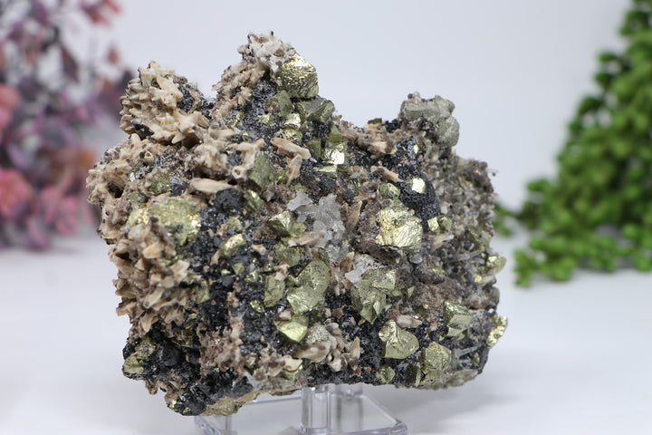 Pyrite and Calcite on Galena from 9th of September Mine DC460