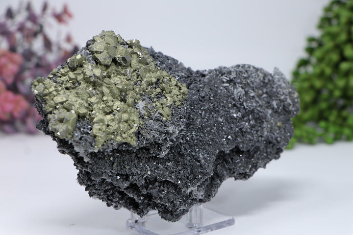 Pyrite on Galena from 9th of September Mine DC459