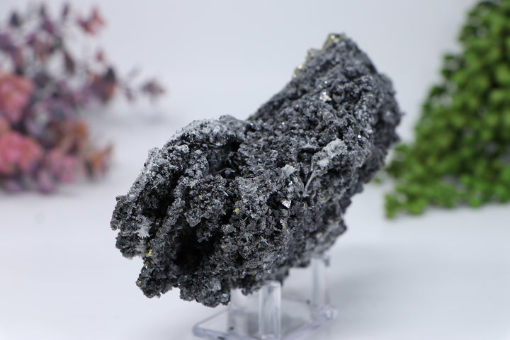 Pyrite on Galena from 9th of September Mine DC459