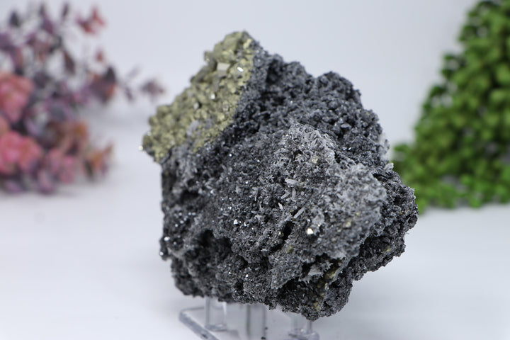Pyrite on Galena from 9th of September Mine DC459