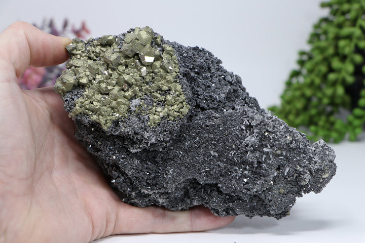 Pyrite on Galena from 9th of September Mine DC459