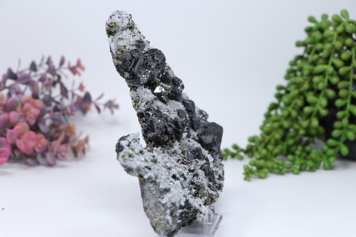 Pyrite and quartz on Sphalerite from 9th of September Mine DC462
