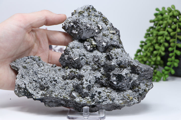 Pyrite and quartz on Sphalerite from 9th of September Mine DC462