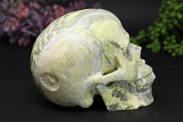 5" Serpentine Skull Carving TU307