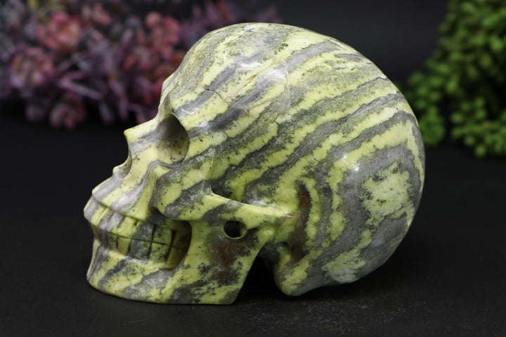 5" Serpentine Skull Carving TU307