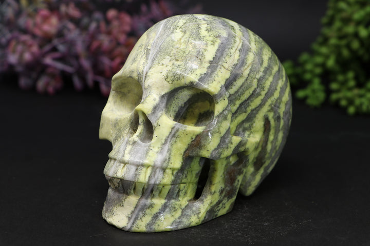 5" Serpentine Skull Carving TU307