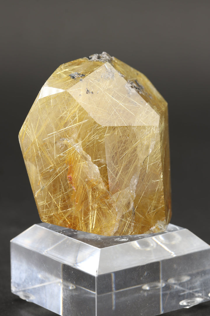 Polished Gold Rutile in Quartz Freeform TC157