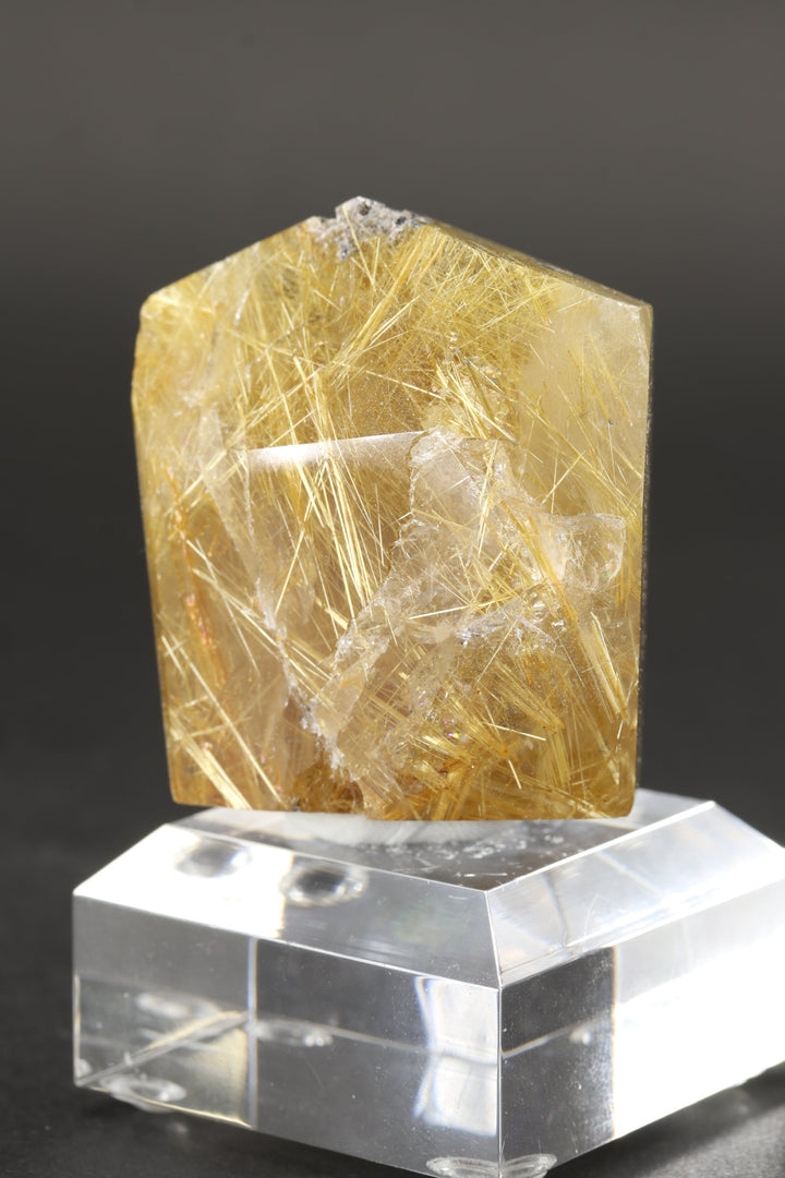 Polished Gold Rutile in Quartz Freeform TC157