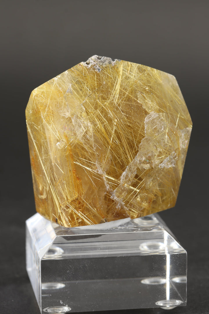 Polished Gold Rutile in Quartz Freeform TC157
