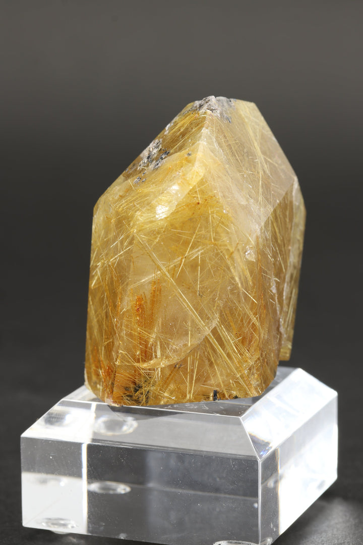 Polished Gold Rutile in Quartz Freeform TC157