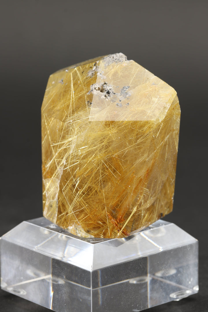Polished Gold Rutile in Quartz Freeform TC157