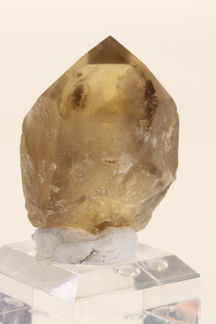 2" Natural Citrine Point TC2631