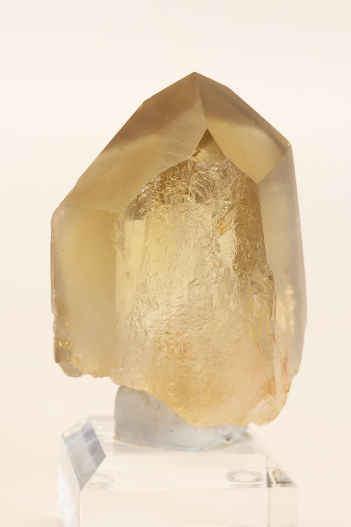3" Natural Citrine Point TC2641