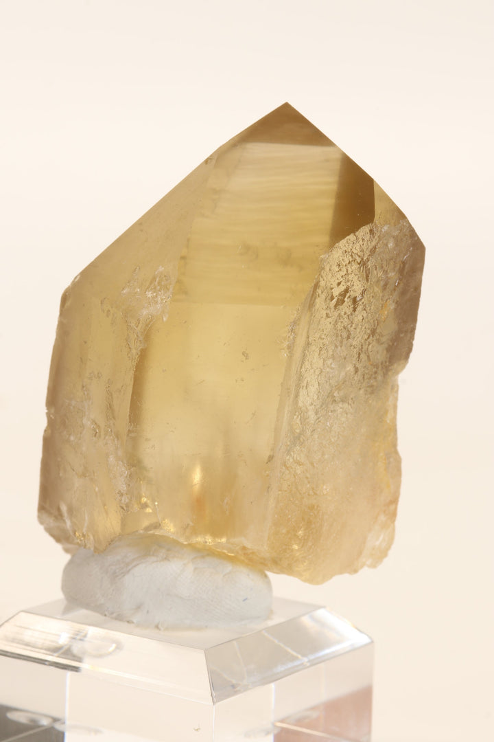 3" Natural Citrine Point TC2641