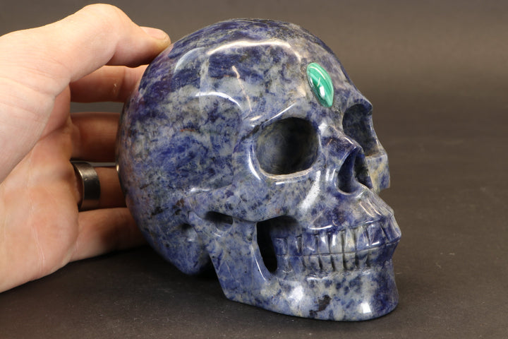 Sodalite Skull with Malachite Third Eye TD1378