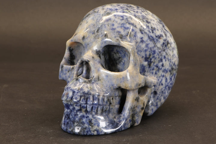 Sodalite Skull Carving TD1736
