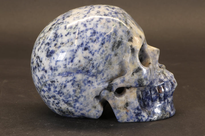 Sodalite Skull Carving TD1736
