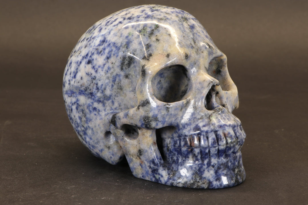 Sodalite Skull Carving TD1736
