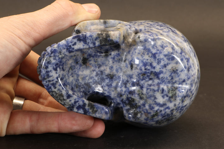 Sodalite Skull Carving TD1736