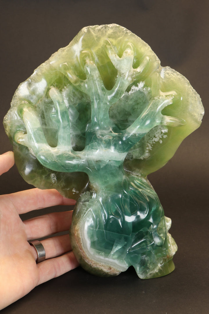 Green Fluorite Tree Skull TD2269