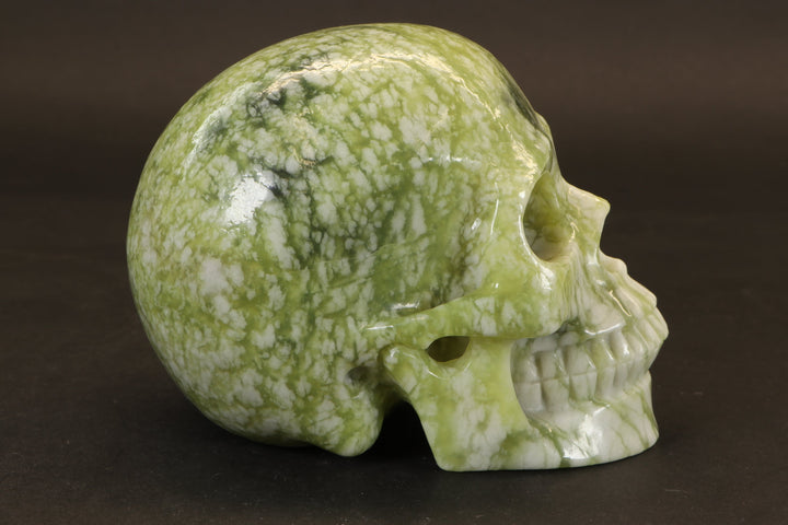 Serpentine Skull Carving TD269