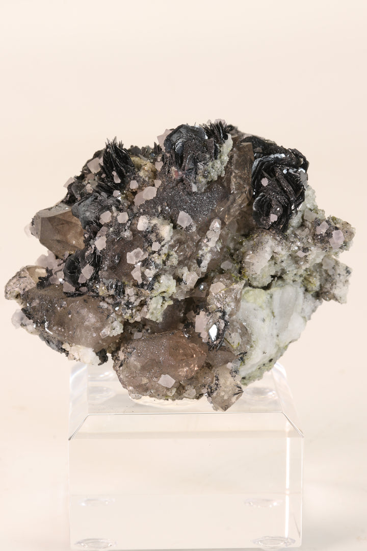 Fluorite and Hematite Rosettes on Smoky Quartz TD2878
