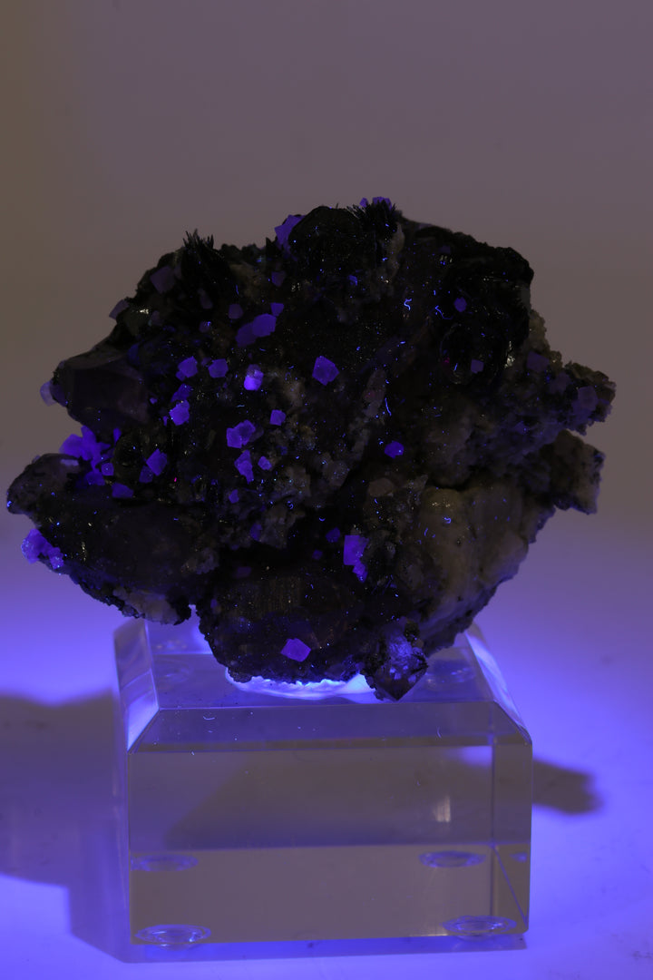 Fluorite and Hematite Rosettes on Smoky Quartz TD2878