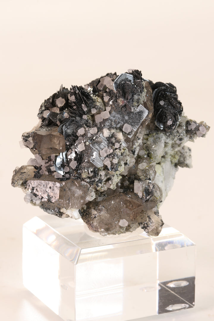 Fluorite and Hematite Rosettes on Smoky Quartz TD2878