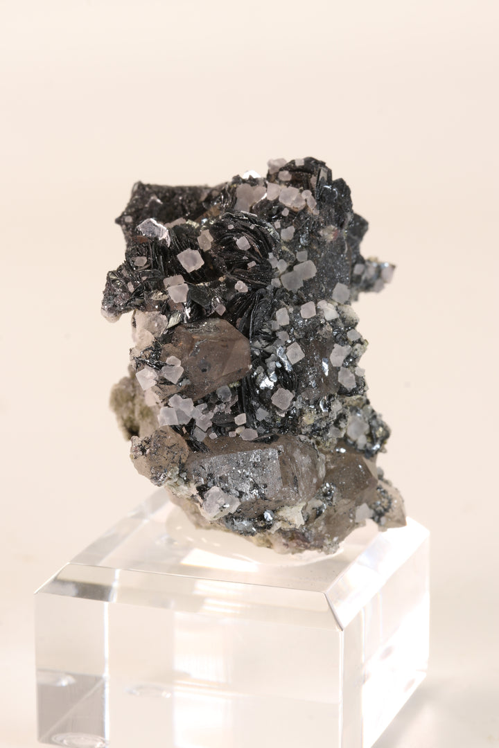 Fluorite and Hematite Rosettes on Smoky Quartz TD2878