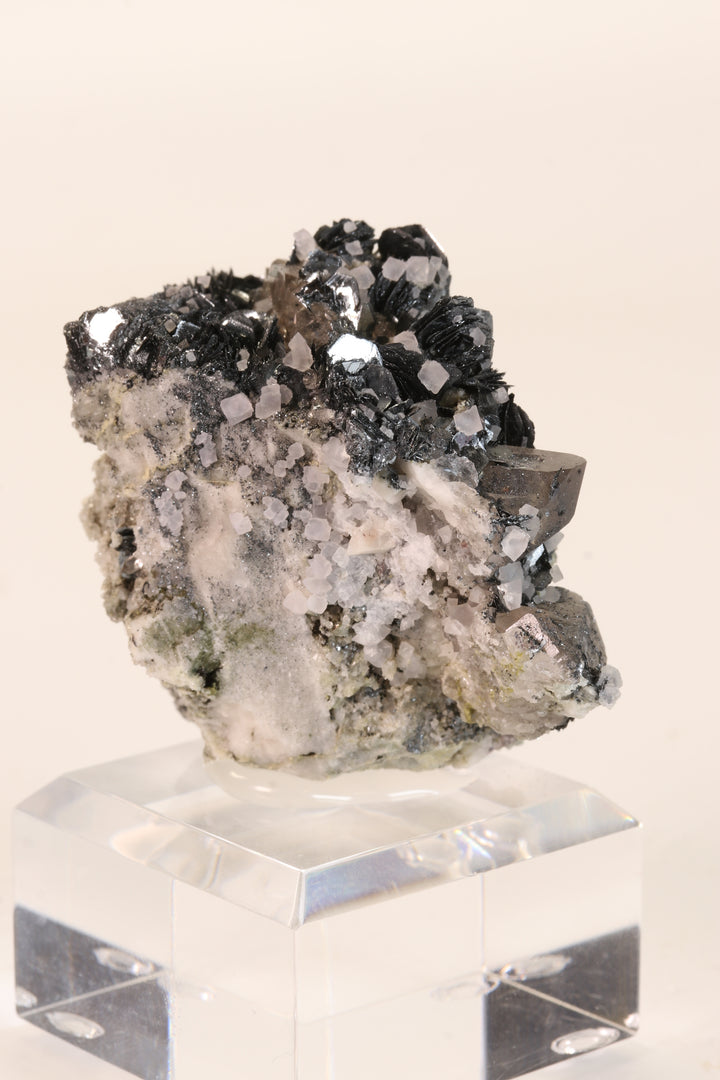 Fluorite and Hematite Rosettes on Smoky Quartz TD2878