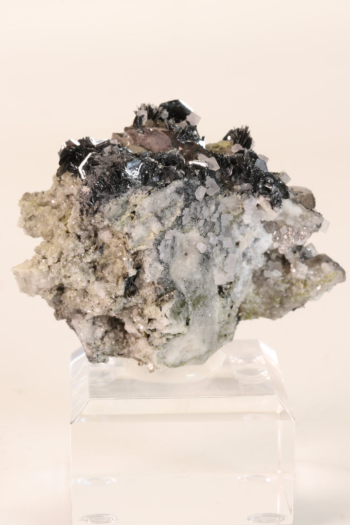 Fluorite and Hematite Rosettes on Smoky Quartz TD2878