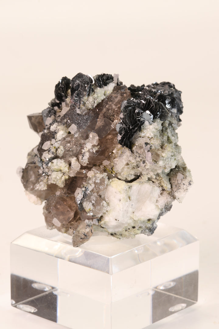 Fluorite and Hematite Rosettes on Smoky Quartz TD2878