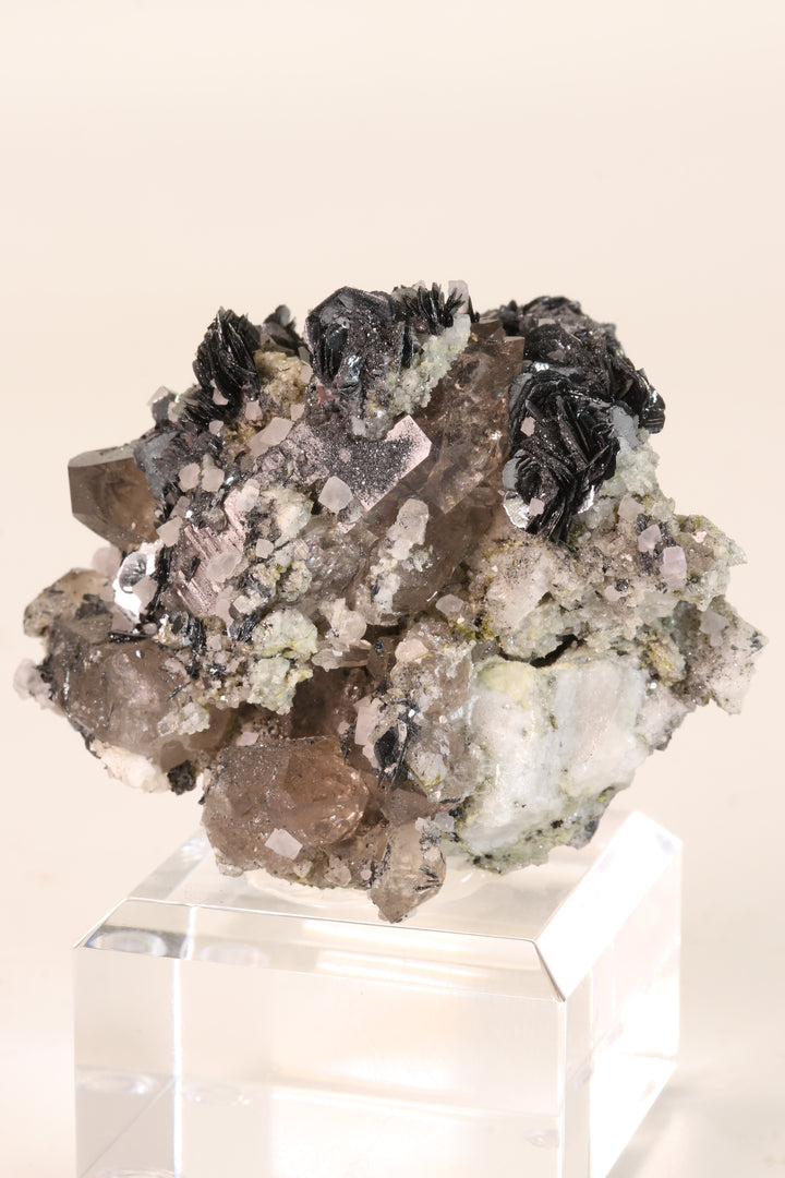 Fluorite and Hematite Rosettes on Smoky Quartz TD2878
